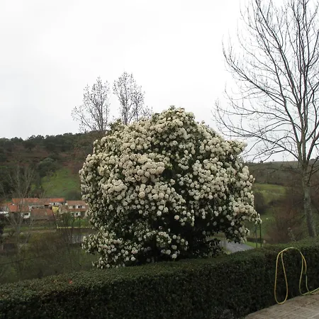 カントリーハウス 