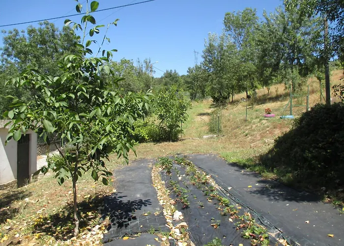 A Choupana - Quinta Da Carvoíça - Vale Pradinhos Séjour à la campagne