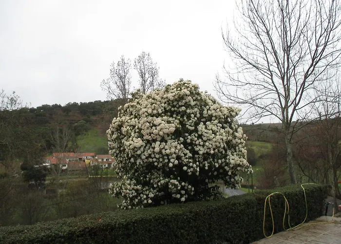 Séjour à la campagne A Choupana - Quinta Da Carvoíça - Vale Pradinhos